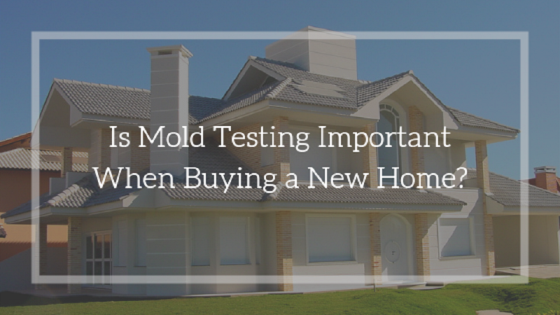 TopBlogin's tweet photo. Is Mold Testing Important When Buying a New Home? https://t.co/CMVPCaai5W #buyhome #RealEstate #home #moldtest #homeimprovement https://t.co/Cg2FkfgiMe