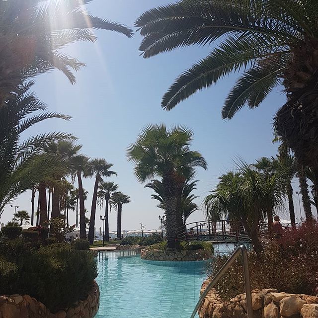 NJSkinDeep's tweet photo. Last day by the pool 🌴 https://t.co/1F905ZPKCs https://t.co/pnNh85y6ws