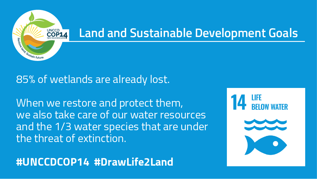 WetlandsNbS's tweet photo. #Nature provides us with a wealth of possible solutions to the challenges we face in achieving our #SustainableDevelopmentGoals.

@IUCN needs your feedback on #NatureBasedSolutions. 
 👉 https://t.co/tHYzZAtTKr

#Day4YourSay #NbS https://t.co/myT0hAZ2SV