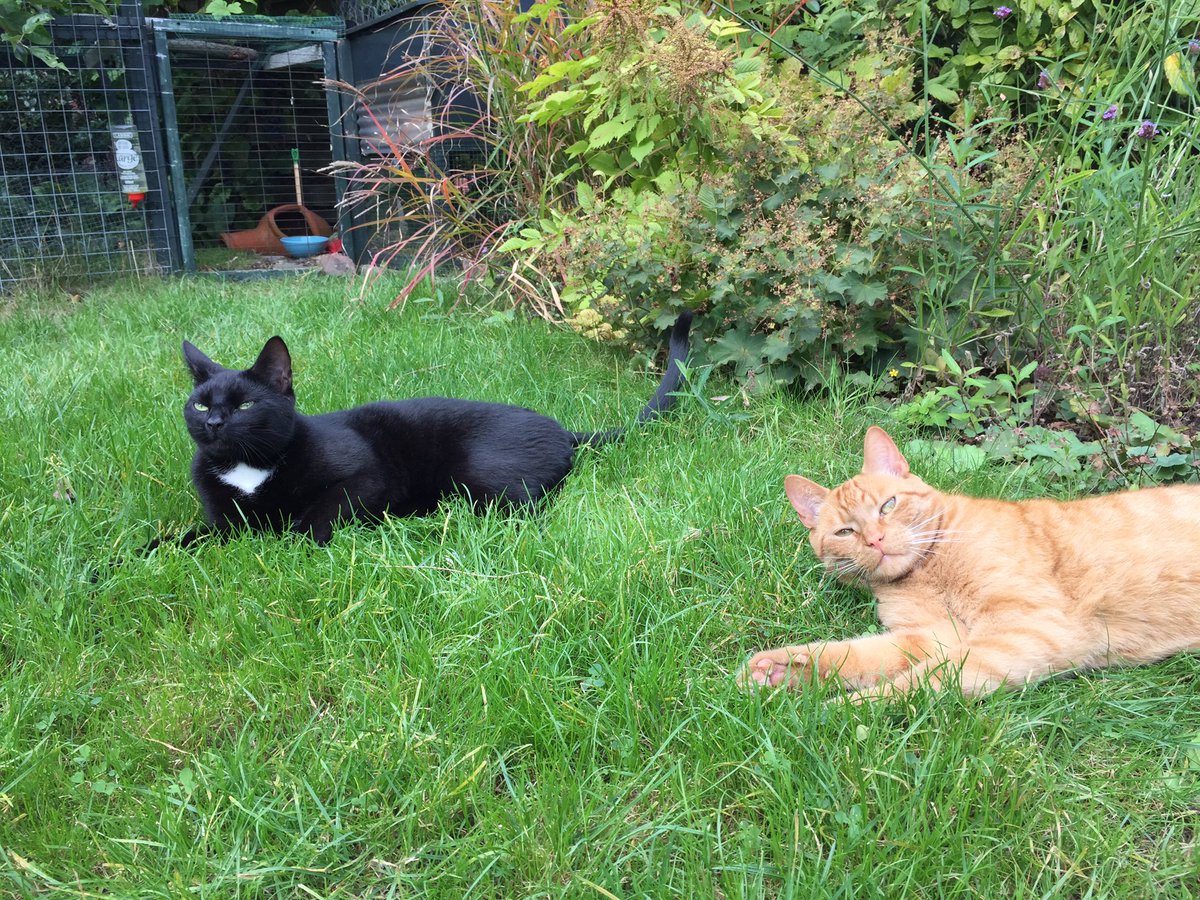 Epy &amp; Kick #fctwente <a href="/FardauW/">Fardau Wagenaar</a>