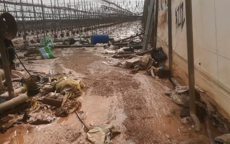 jaarcossanchez's tweet photo. ⛈️UPA echa números… daños “millonarios”
https://t.co/OqFRtKgEm3
La Unión de Pequeños #Agricultores y Ganaderos enumera una a una las zonas más afectadas por la gota fría
https://t.co/OqFRtKgEm3
Nuestro compromiso y solidaridad con los miles de afectados
#gotafriaesp #gotafria https://t.co/D7aC9Qpp6q