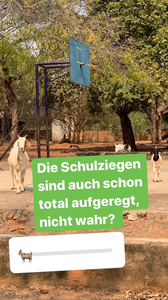 NGA_eV's tweet photo. Schon unsere #Instagram-Stories gesehen? Wir berichten dort direkt aus den Schulen, wo wir in diesem Tagen die neue Version der #Digital #Library einführen! 

Folgt uns auf Instagram und begleitet uns auf unserer #Projektreise in #Malawi. Es lohnt sich! 

https://t.co/yMiiPz0dGI https://t.co/yXe3jdK03m