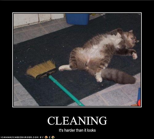 Don't wipe yourself out trying to get animal hairs out of carpets! Call the experts in to deep clean your carpets for you. #wednesdaywisdom #cleaningexperts #localbusiness #carpetcleaners