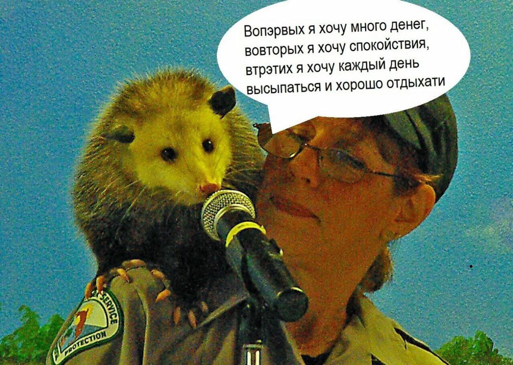 EEvRZOEX4AMp42t?format=jpg&name=medium