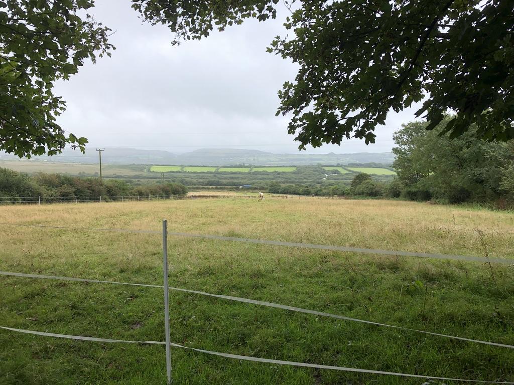 Edward_Buckland's tweet photo. 🏞️ Land to Let - BELOWDA, ROCHE, ST AUSTELL 🏞️ 

On the instructions of the Tregothnan Estate
Available From: Oct 2019 by Informal Tender
Total Area: 43.47 acres (17.59 ha)
Term: 5yrs on FBT (bare land)

For further details click on the link below 👇

https://t.co/IgrFUOHKCH https://t.co/jTlvOOxVzF