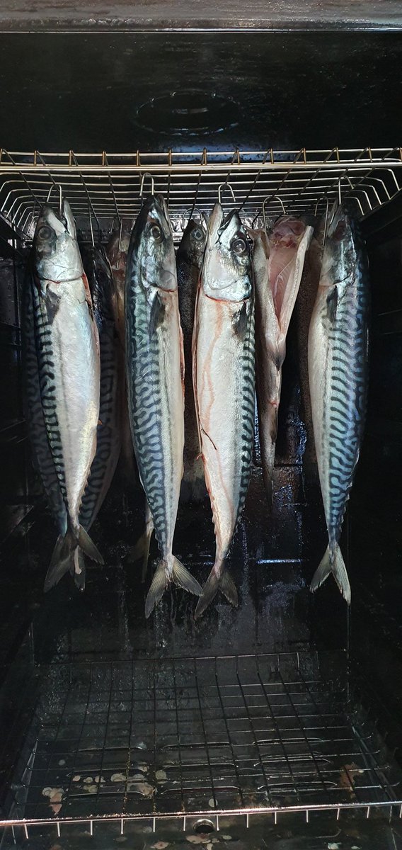 Weer verse makreel en forel in onze rookoven