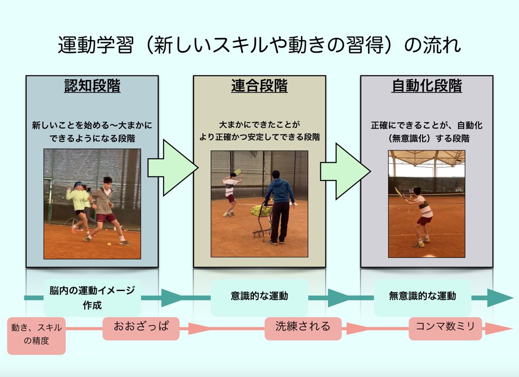 Amazon.co.jp: 試合を組み立てる「投げ」動作の習得～スキル強化