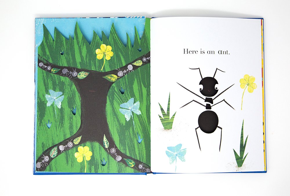 TwoHootsBooks's tweet photo. Delighted that #Animalphabet by #JuliaDonaldson and @SharonKingChai is shortlisted for a @BBDPAwards Design and Production Award - congratulations to designer Sharon and production controller @Jevchenko! https://t.co/HdDEgflAos https://t.co/WwZuG12OE7