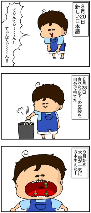 フリちゃん成長記・1歳6ヶ月 