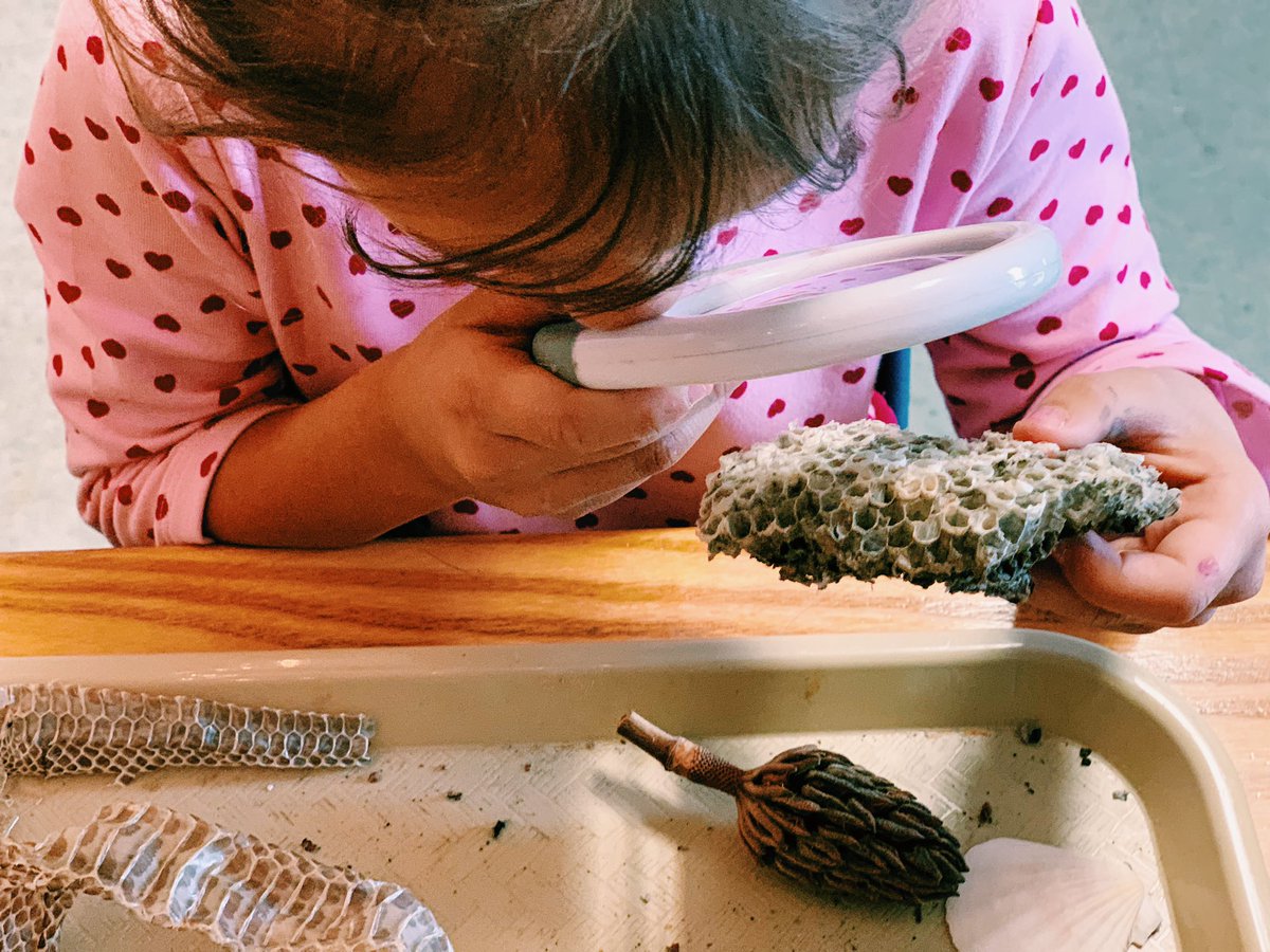 MrsHannah_LPS's tweet photo. Kindergartens were introduced to the βSENSESβ shelf in Explorations. We use our senses all day, everyday to learn and explore! Our class is the intentional time to experience education through active exploration.
#ExperienceEducation #KindyLPS #ExplorationsLPS https://t.co/FZOYS4pXF5