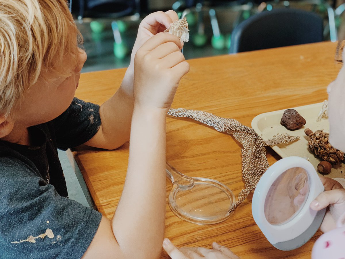 MrsHannah_LPS's tweet photo. Kindergartens were introduced to the βSENSESβ shelf in Explorations. We use our senses all day, everyday to learn and explore! Our class is the intentional time to experience education through active exploration.
#ExperienceEducation #KindyLPS #ExplorationsLPS https://t.co/FZOYS4pXF5