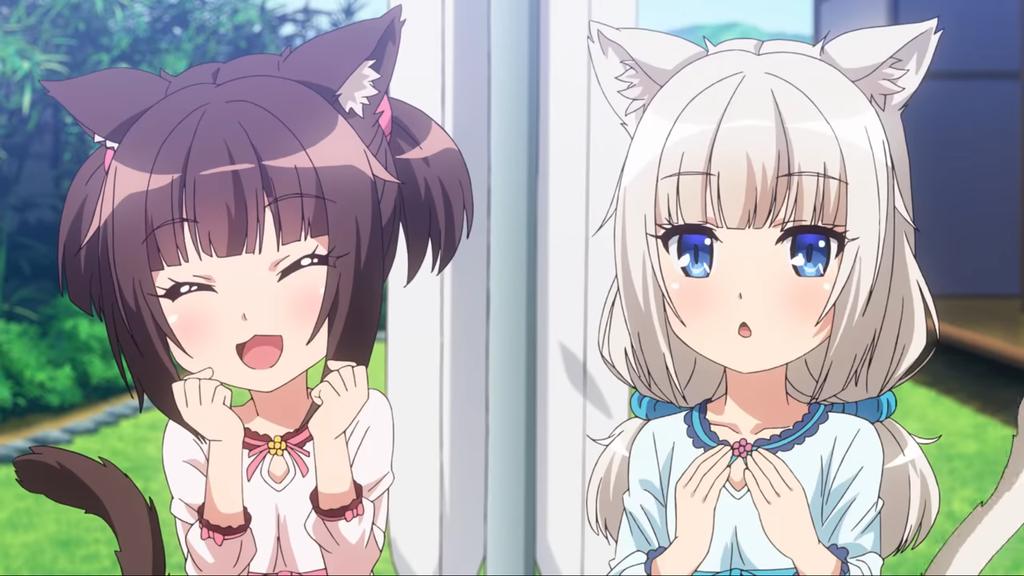 нэко ногинск отзывы. фрейз некопара. аниме кошачий рай чокола. нэко ногинск отзывы. аниме nekomimi animal ears.