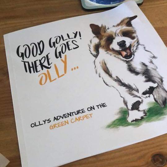 OllyRusell's tweet photo. Mum says for those who are looking already for Christmas presents, what about a good book all about me! https://t.co/z4CgYQmUaf https://t.co/EUlypfNPZe