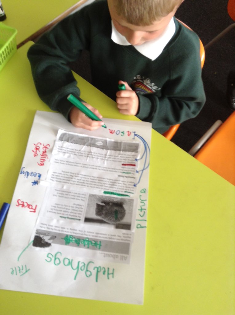 TGPS_NorthLincs's tweet photo. Year 2 have pieced back together a non chronological report and labelled the features #TGPSEnglish #TGPSTeamwork https://t.co/RqJ4Orxnnn