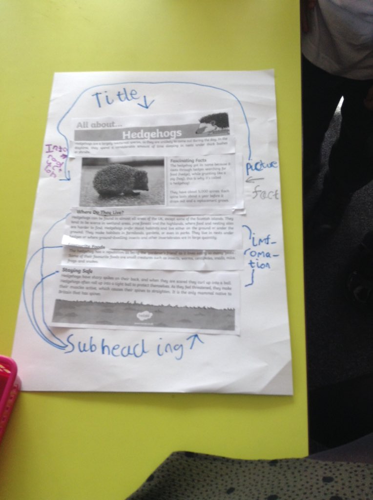 TGPS_NorthLincs's tweet photo. Year 2 have pieced back together a non chronological report and labelled the features #TGPSEnglish #TGPSTeamwork https://t.co/RqJ4Orxnnn