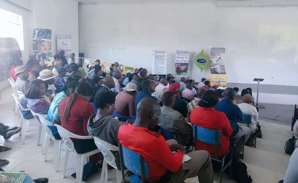 ActionAidZim's tweet photo. The Value Chain Alliance for Livestock Upgrading and Empowerment (VALUE)'s Goat Value Chain has been launched at the #GoatIndaba at Henderson Research Institute in Mazowe. The project is part of @euinzim funded @ZAGPInfo https://t.co/O0uS5v7khj