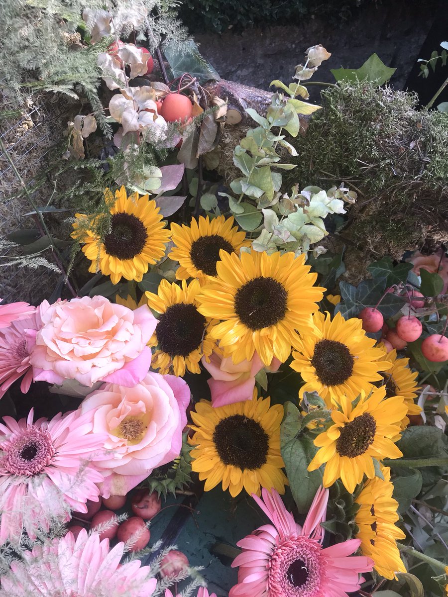 such a gorgeous sunflower🌻