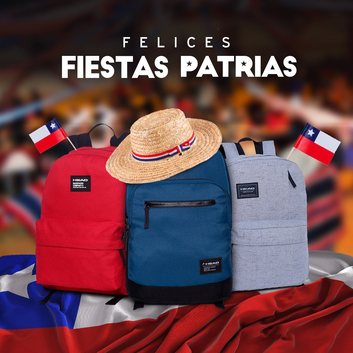 🇨🇱🇨🇱🇨🇱FELIZ 18! 🇨🇱🇨🇱🇨🇱
¡Queremos desearle a todo Chile unas felices fiestas patrias!