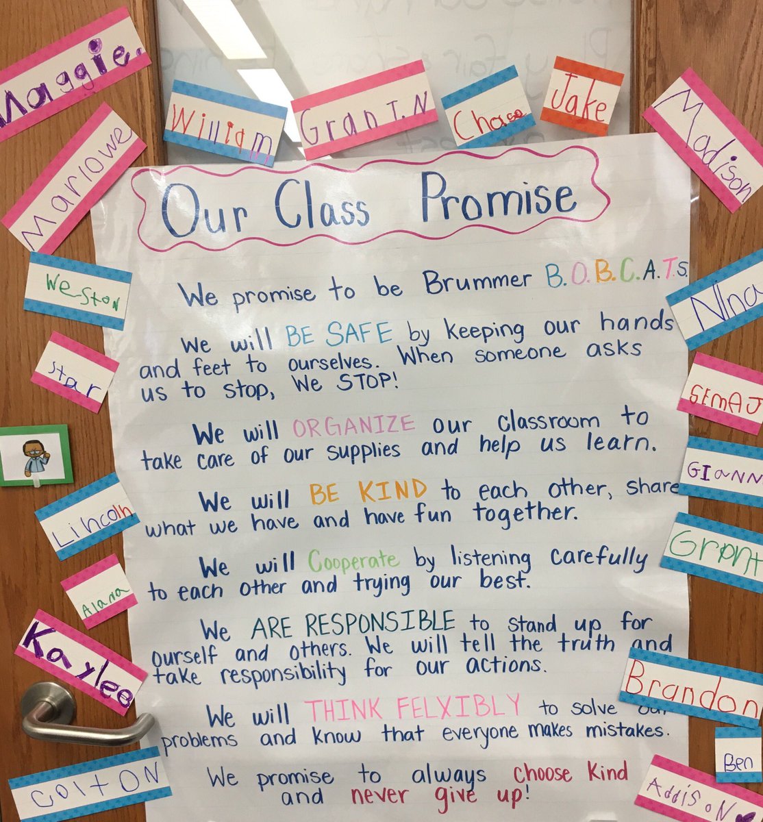 MrsVoss1st's tweet photo. Yesterday we learned what our constitution is all about and made our own class promise. We signed it just like the men who wrote the United States Constitution. @SLCSBrummer https://t.co/lDEzHoS3pX