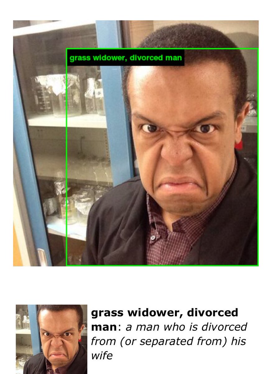 JasonWilliamsNY's tweet image. Highly improbable. #imagenetroulette