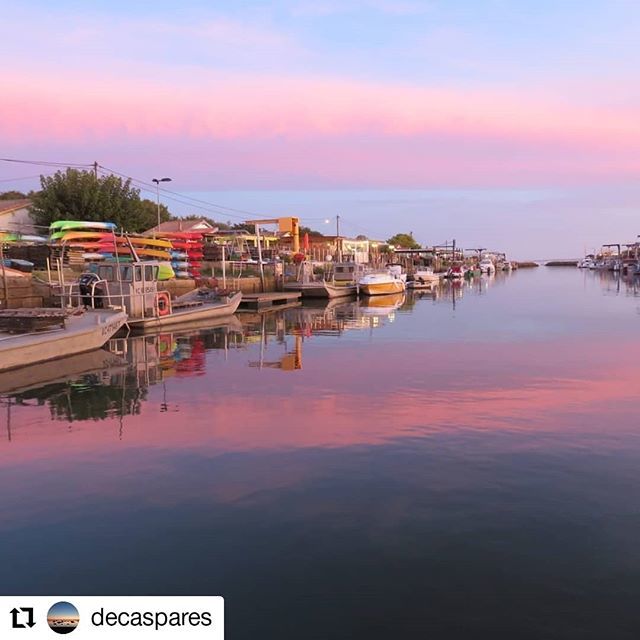 destination_BA's tweet photo. [Coup de ❤️] Photographie de @decaspares "Echarpe rose..." #destination_bassindarcachon

#vraiesvacances #bassindarcachon #espritbassin #picoftheday #pictureoftheday #photooftheday #instagram #gironde #instagood #see #sun #summer  #arcachon #capferret #a… https://t.co/q2koa2vxHd https://t.co/lhh7jcsTtm