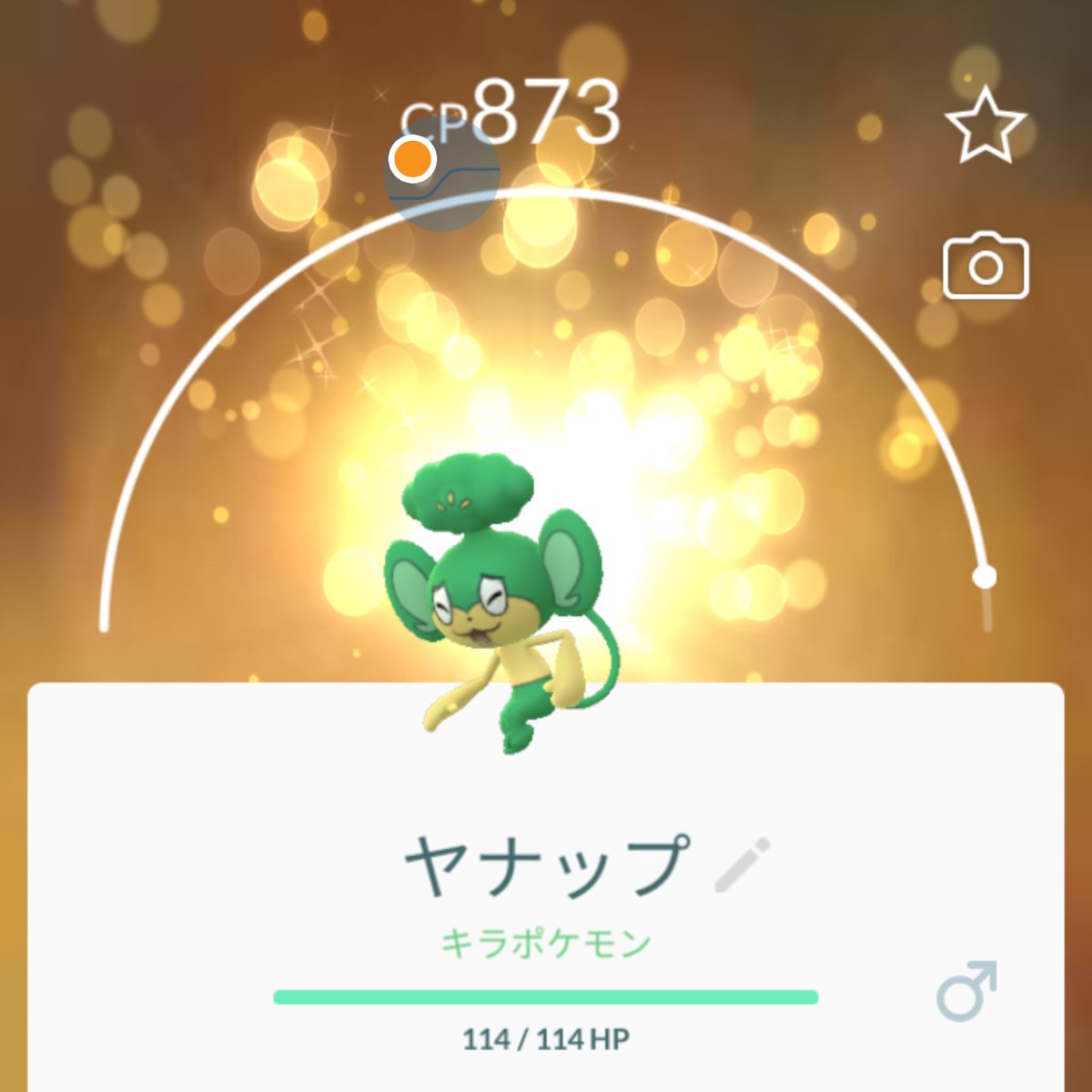 ポケモンgo ポケモン出ない コラッタ Twitter પર શ ધ