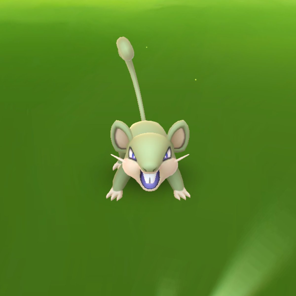 ポケモンgo ポケモン出ない コラッタ Twitter Search ポケモンgo ポケモン出ない コラッタ Twitter Search