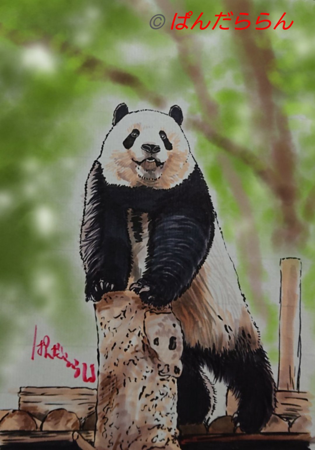 Twitter এ ららんさん 昨日ツイートした絵の背景を バージョン違いで どや 上野動物園 シャンシャン ジャイアントパンダ パンダ T Co Lr4vvszjpw ট ইট র