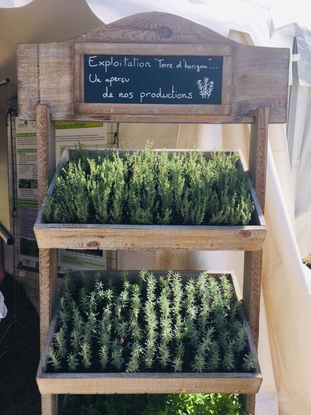 AgriProv's tweet image. On est à @TECHetBIO en pleines #démo #maraîchage et #papam #bio - Paillage #plastique biosourcé, kraft ou biodégradables / Plants de #lavande ou #thym en terre ou #paillage #chanvre @ChambagriFrance @eam_euroagrimat