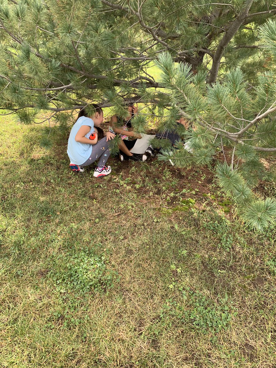 Jennifer Reilly tweet media