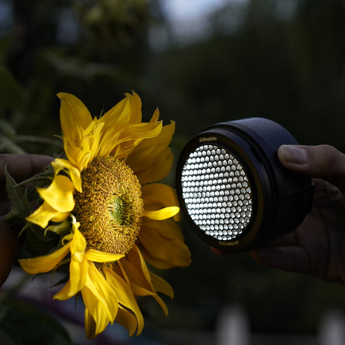 Light, everywhere :)
I was lucky to get to play around with this beautiful light by <a href="/Profoto/">Profoto</a> called the C1 plus before its launch. Fun fact, works with a phone :) this is always going to be in my backpack.