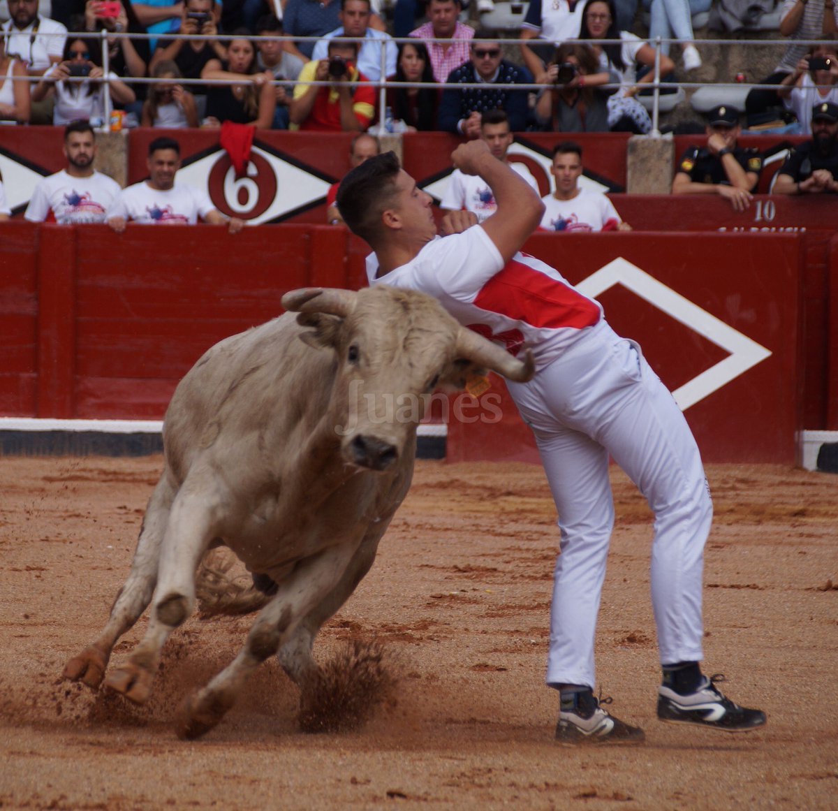 fotosjuanes's tweet photo. Gran concurso de @toropasion en @Toros_Salamanca en el cuál, @arturosanpelayo y #luisan fueron los triunfadores. https://t.co/ViQOO9tF72