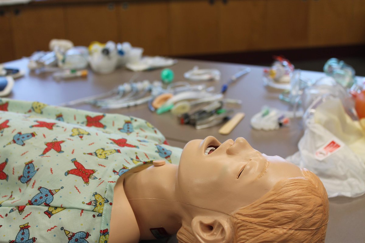 kirstyfreeman0's tweet image. Celebrate Sim all day! Share any and all your photos and videos showcasing your Simulation contributions/events/etc. Make sure to hashtag them with #HcSimWeek19 @SSHorg