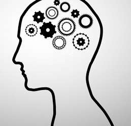 Pamela Struth tweet media