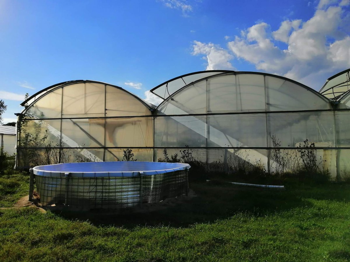 intaargentina's tweet photo. @intaCIAP Un día de puertas abiertas para conocer qué hacen nuestros investigadores

Hoy estaremos en #INTACnia #Hurlingham, con recorridos por distintos temas de investigación y con estaciones temáticas para experimentar y conocer

#VeníaInvestigarconINTA #SemanaCyTARG #INTAconTodos https://t.co/lnK9V5PO2E
