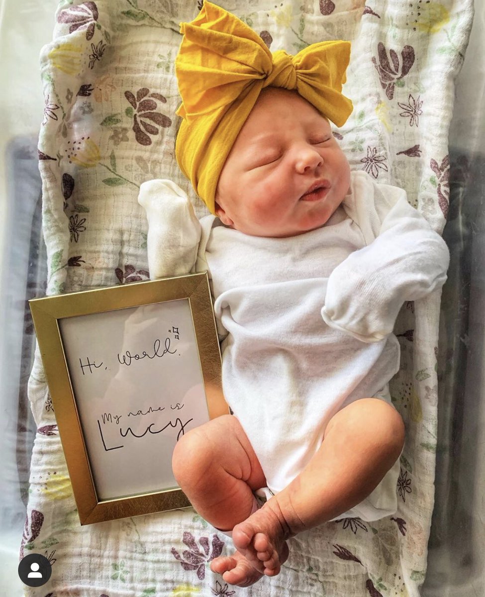 UNC Charlotte Fraternity & Sorority Life tweet media