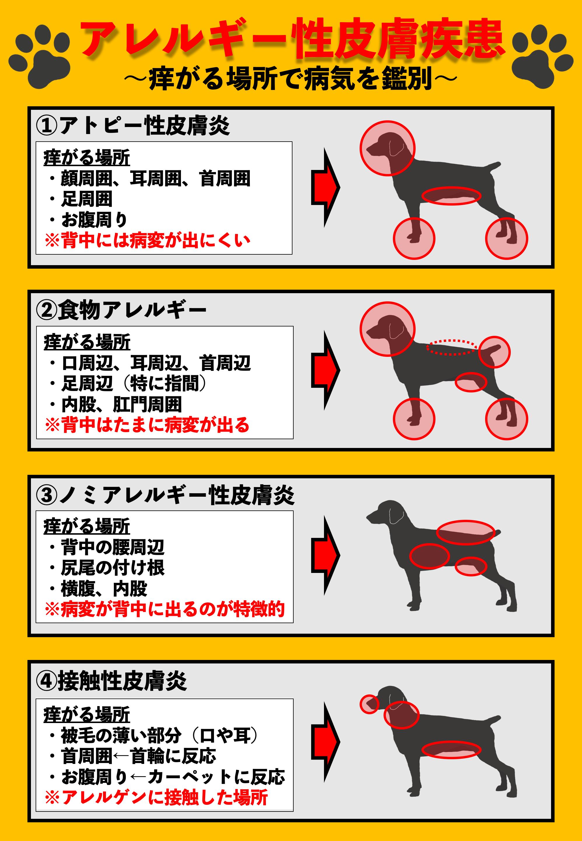 Twitter 上的 オタ福 獣医師 痒がる場所で病気を鑑別 アレルギー性皮膚炎は病変が現れる場所に特徴があり 痒がる場所によって 粗方の予想を立てることができます 代表的な疾患を図に示しています の病気は オタ福の語り部屋 にて詳細を記載しています