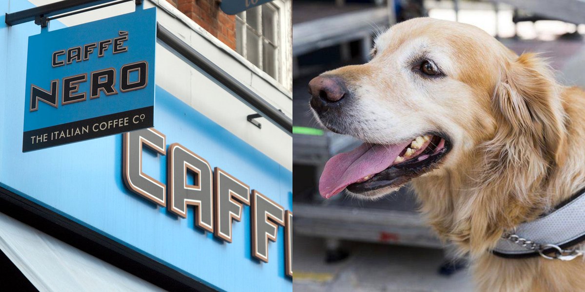Caffe Nero refuses to give water to blind man's guide dog bit.ly/2mnTGr3 #WednesdayWisdom #caffenero #dogs #dogsoftwitter #guidedogs #animalrespect  #rt