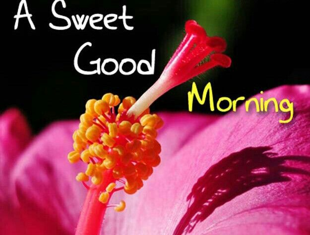 кофе и цветы картинки. фото good morning my love. Sweet good. Good morning цветы. Sweet selection.