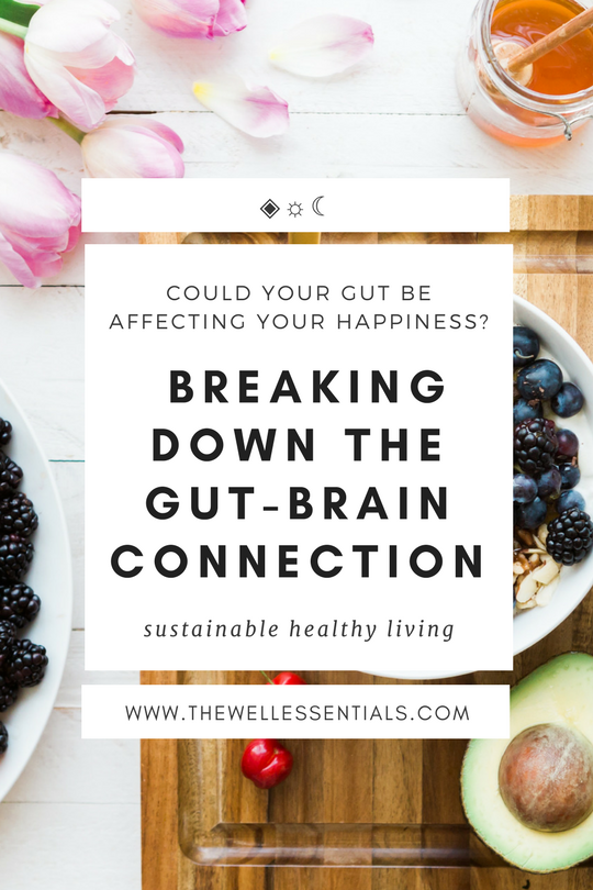 well_essentials's tweet image. The gut-brain connection is a crucial pathway that supports a healthy mind and body. Find out how to support it better today! bit.ly/2sHDELo