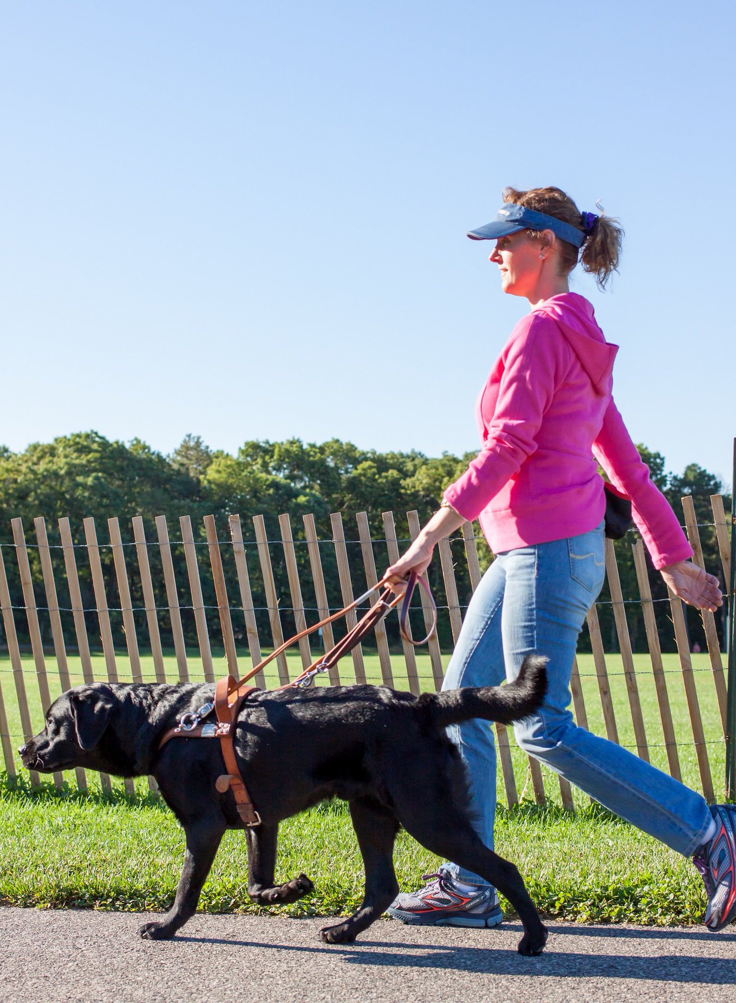 ada companion animal