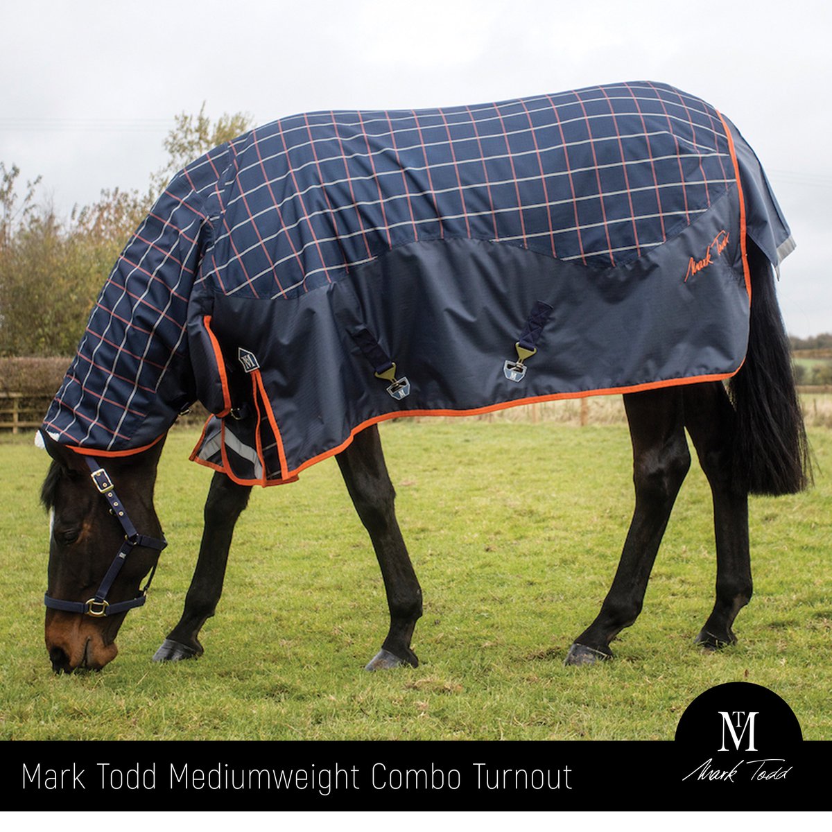 This is the Mark Todd Mediumweight Combo Turnout...a hugely popular rug and a must-have for this time of year

#winterwardrobe #winteriscoming

Available from <a href="/Trilanco/">Trilanco Ltd</a> stockists