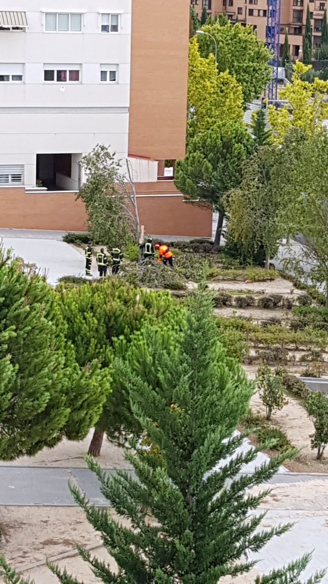 Beirubio's tweet photo. @Lineamadrid en la Av. Monasterio de El Escorial, 36-40 hay un parque donde el otro día los bomberos talaron un árbol por prevención de caída. El árbol sigue ahí tirado y los niños salen del parque a jugar con las ramas. Es un peligro. Se podría retirar? https://t.co/t0L5iRMYG8