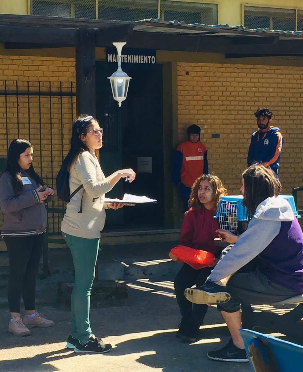 MVDParticipa's tweet photo. Hoy se llevó a cabo la segunda jornada de castraciones masivas de perros y gatos en el barrio La Teja🐶🐱
¡Gracias a las vecinas y vecinos que se sumaron a la organización de dicha jornada!
🗓️Calendario de castraciones: https://t.co/JEdowfo3Vt
#MontevideoDecide
#Idea2018 https://t.co/da2I1I7SkC