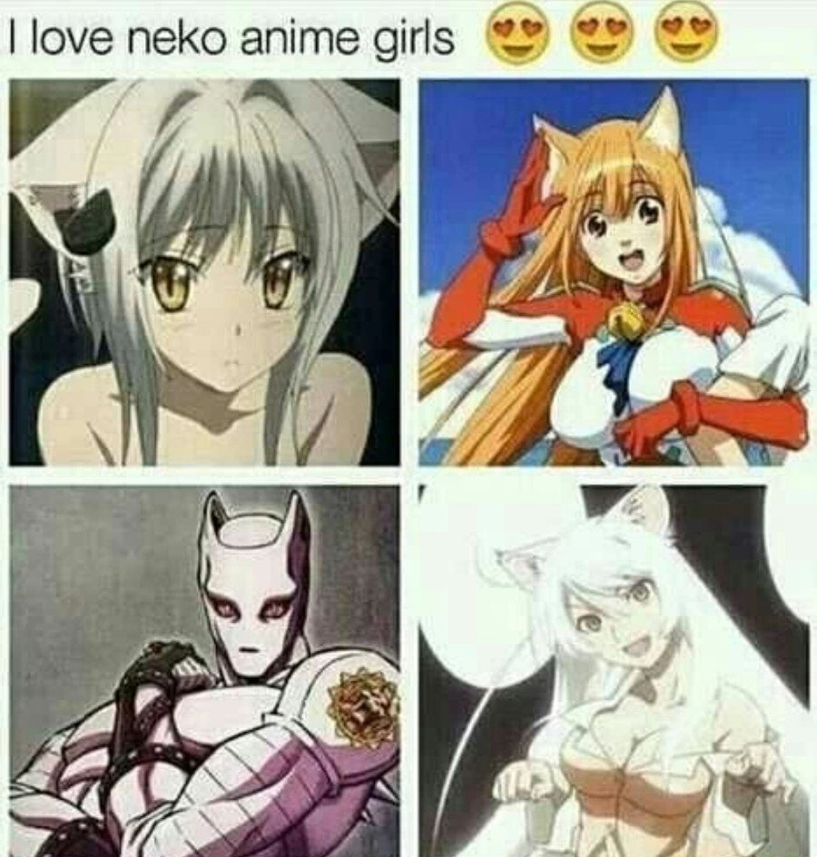 anime cat girls irl : r/memes