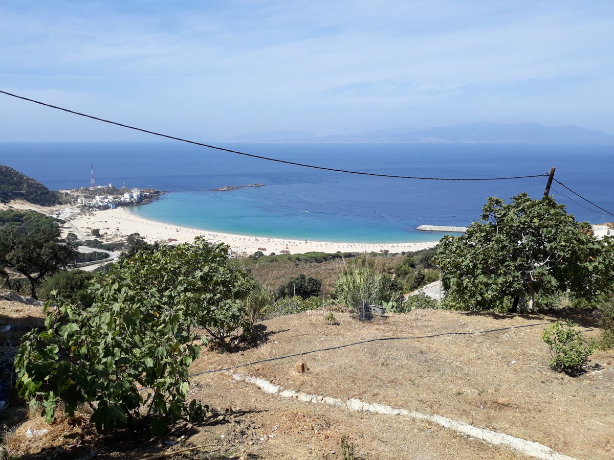 daliakhalid2001's tweet photo. #Daliabeach today https://t.co/i8fYML4Qcj