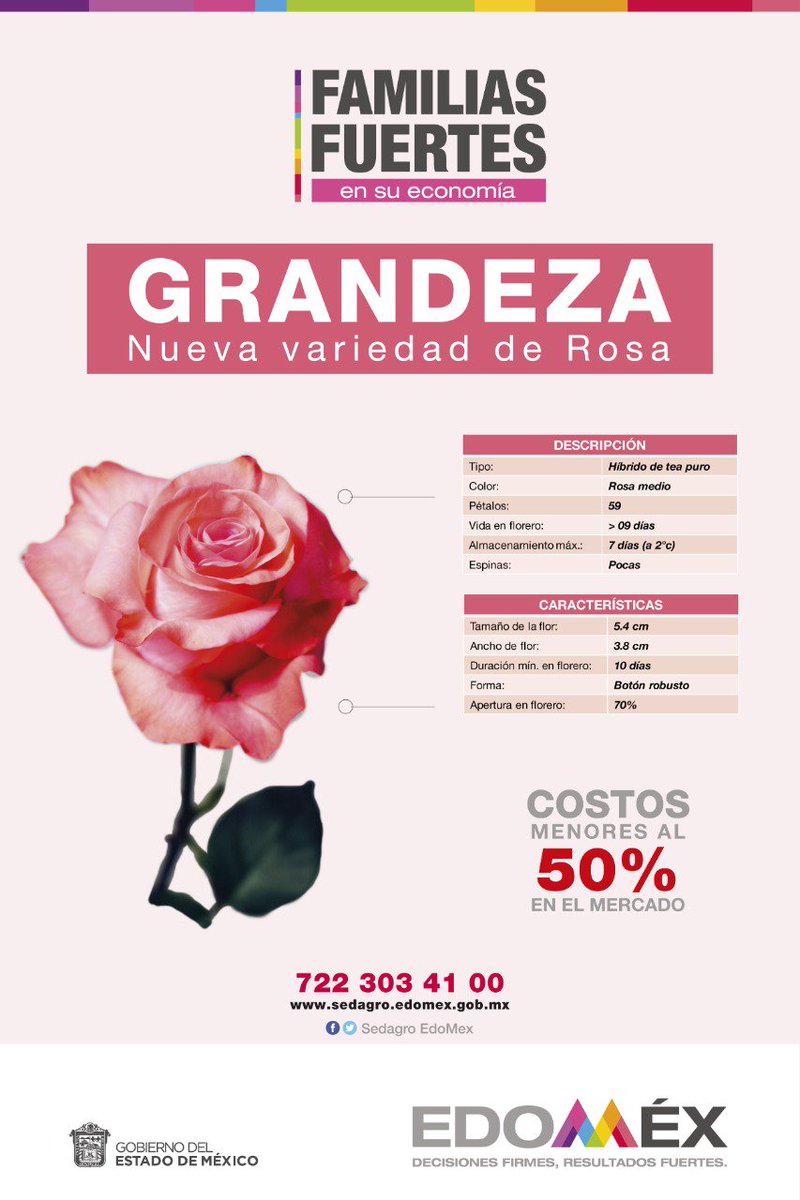DarioZacariasC's tweet photo. Cumpliendo los compromisos del gobernador @alfredodelmazo @SEDAGROedomex tiene a disposición de los productores #Mexiquenses, planta de 3 variedades de #RosaMexiquense.
Si estás interesado
Sigue este Link 
https://t.co/KtW1BSctVe https://t.co/CdqaXbEyyr https://t.co/ZUh5Y3hdiT