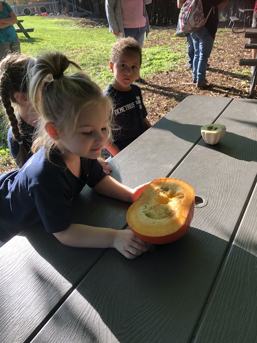 LBSommer136's tweet photo. Sommer ELA visits Oak Hill Farm.  #oakhillfarm. #preschool https://t.co/pveet4tt1m