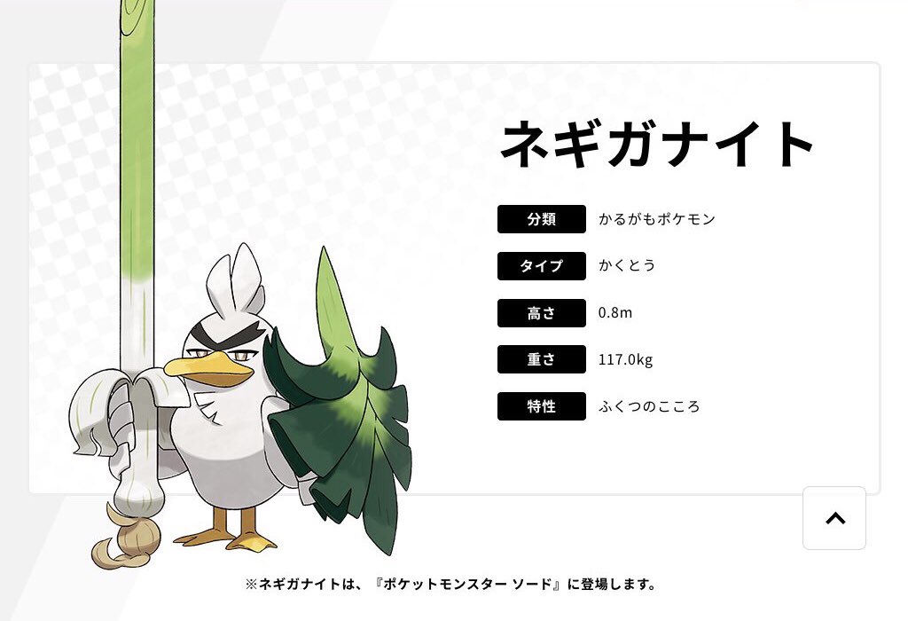 ひこうタイプを捨てた鴨 ひこうタイプを捨てた鴨