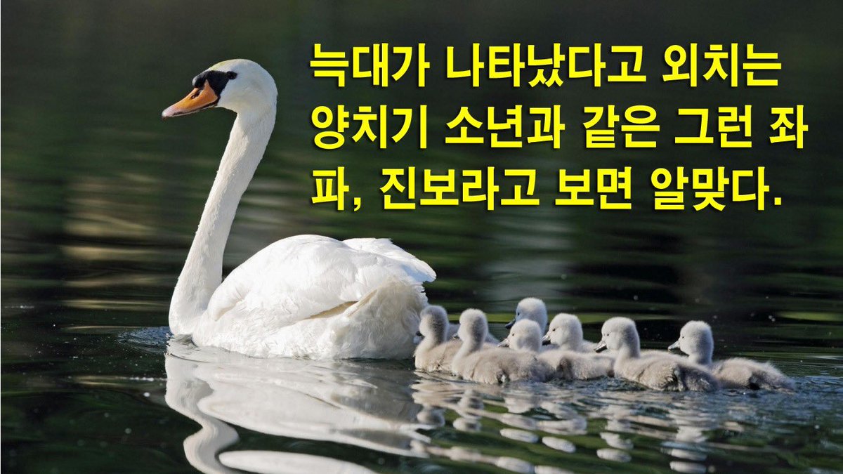 문재인 대통령과 민주당이여! 
당신들이 하늘도 필요 없고, 종교가 필요 없다고 말해 놓은 그 동화작가를 편들고 응징하지 않으면 대통령도 망하고 나라도 안 된다고 편지를 하고 말을 했더니 나를 찾아 죽이겠다고? 
왜, 그런 말을 써 팔로워시키나? 하루라도 더 빨리 망하고 싶으면 날 죽여봐라.